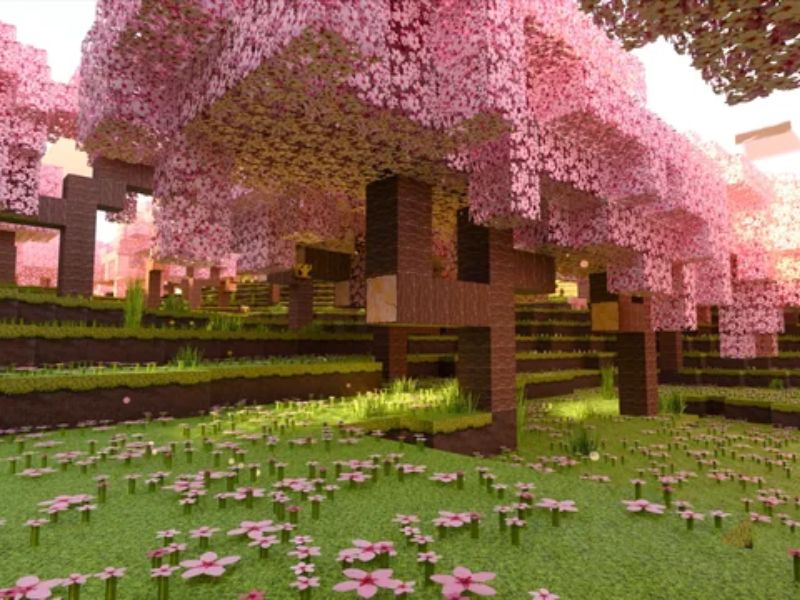 Minecraft 1.20 Apk Tiếng Việt Quần xã sinh vật Cherry Grove – Rừng hoa anh đào