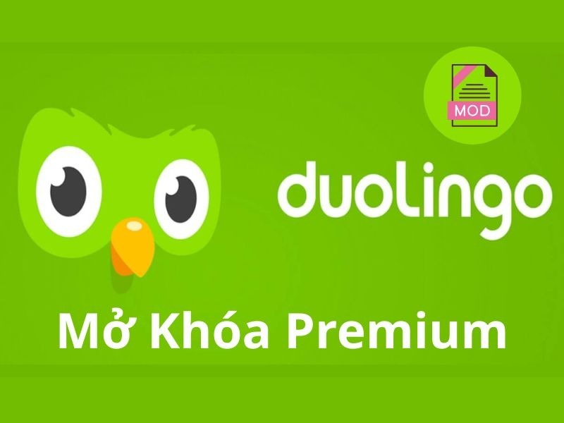 Trải Nghiệm Tính Năng MOD Trong Hack Duolingo 