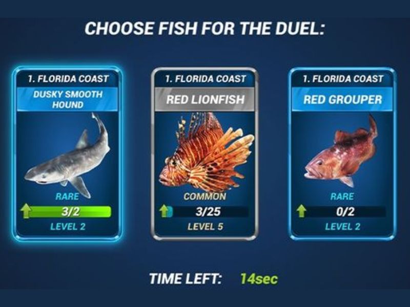 Tải Hack Fishing Clash (Vô Hạn Tiền, Tự Động Câu) v1.0.427 Nhiều Loài Cá Khác Nhau Trong Hack Fishing Clash