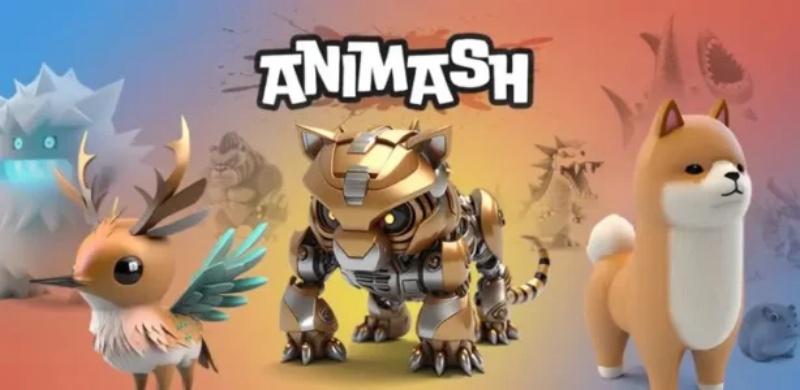 hack-animash-01