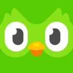 Tải Hack Duolingo Mod Apk (Mở Khóa Premium) v6.54.5